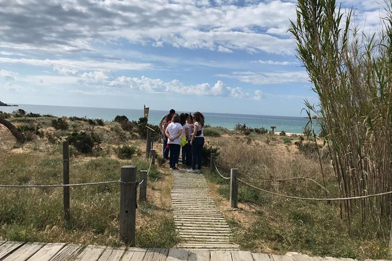 Escape Room Outdoor (a piedi) Bartolomew Roberts Treasure — 5