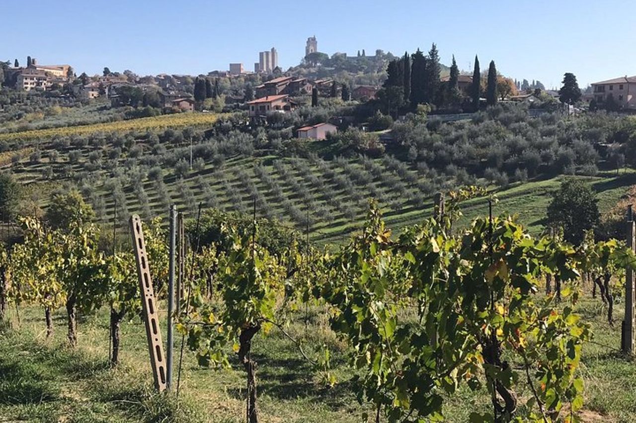 Gita giornaliera privata a Montecatini nel Chianti e San Gimignano — 3