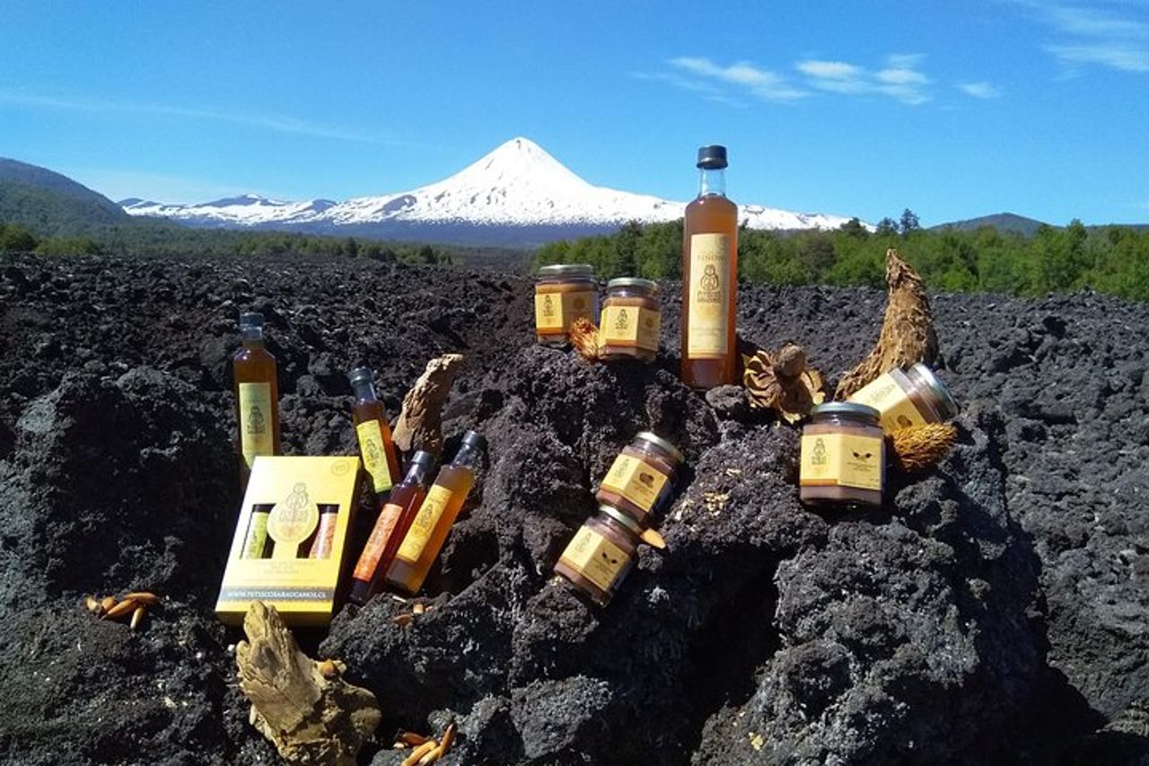 Degustazione di liquori, sottaceti e marmellate fatte in casa — 6