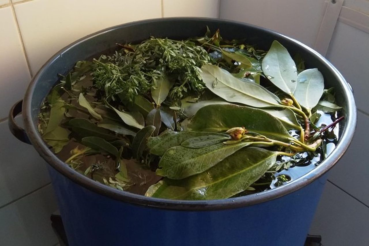 Degustazione di liquori, sottaceti e marmellate fatte in casa — 8
