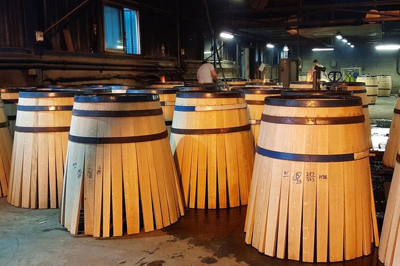 Tour privato di un giorno da Angouleme: sfaccettature del cognac: dalla vite al bicchiere — 3