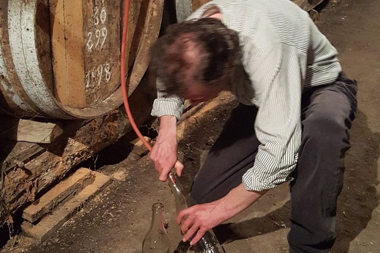 Tour privato di un giorno da Angouleme: sfaccettature del cognac: dalla vite al bicchiere — 5