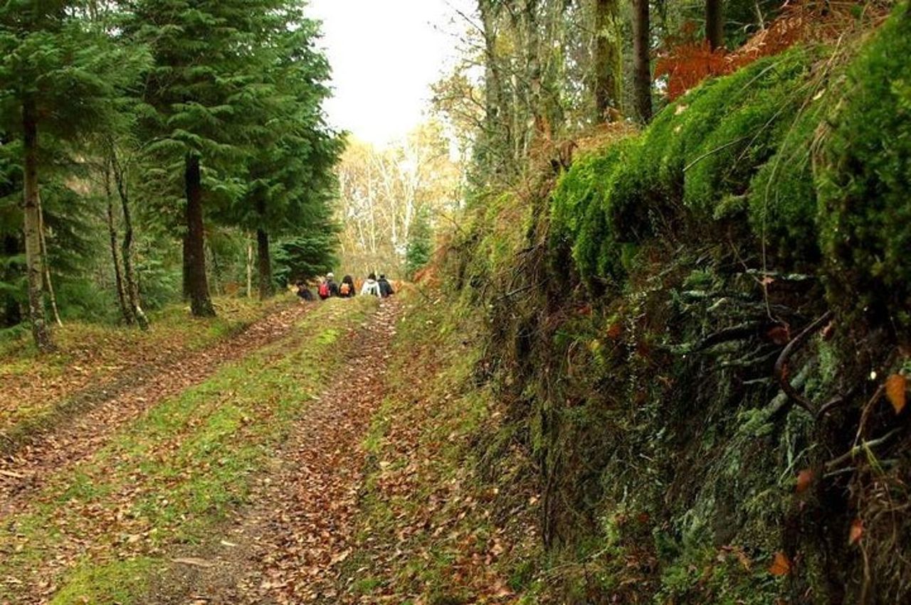 Area paesaggistica protetta del corno dell'ugello — 5