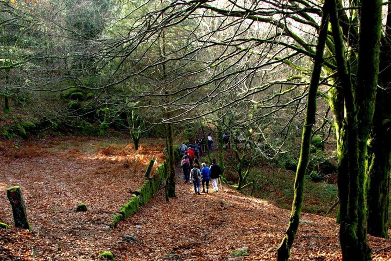Area paesaggistica protetta del corno dell'ugello — 6