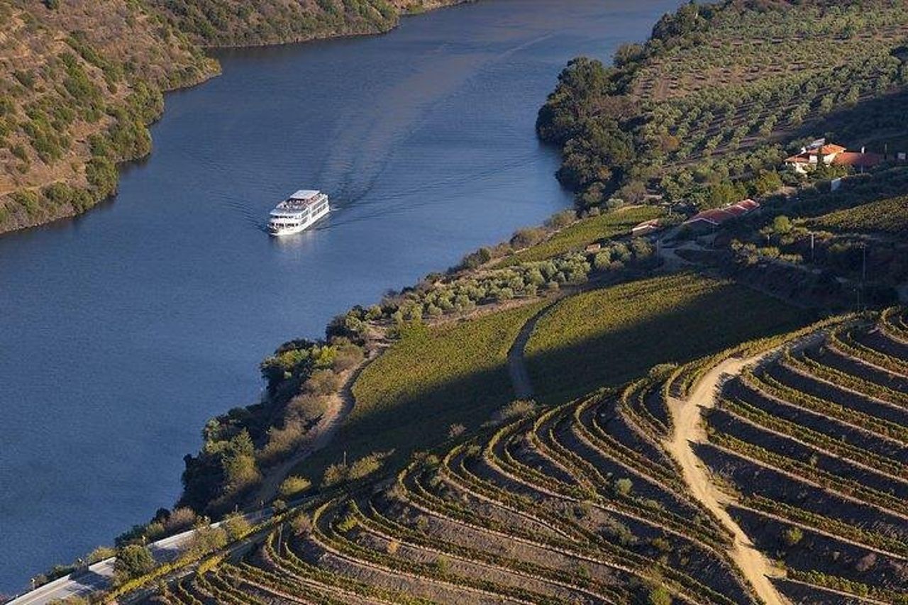 Crociera nella Valle del Douro da Porto a Pinhão: colazione, pranzo e degustazione