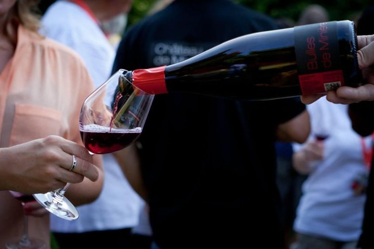 Tour privato di un giorno dei vini della Valle della Loira con degustazioni da Tours o Amboise — 3