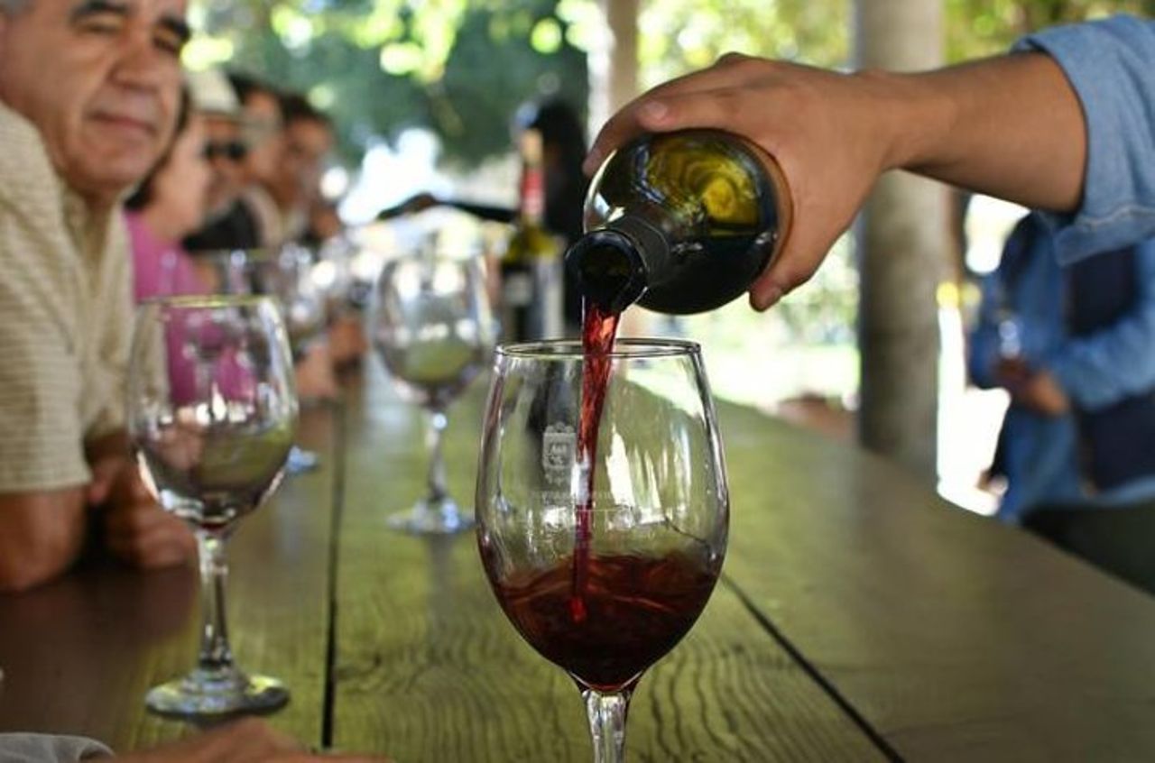 Grand Mexico Wine Country Tour da San Diego