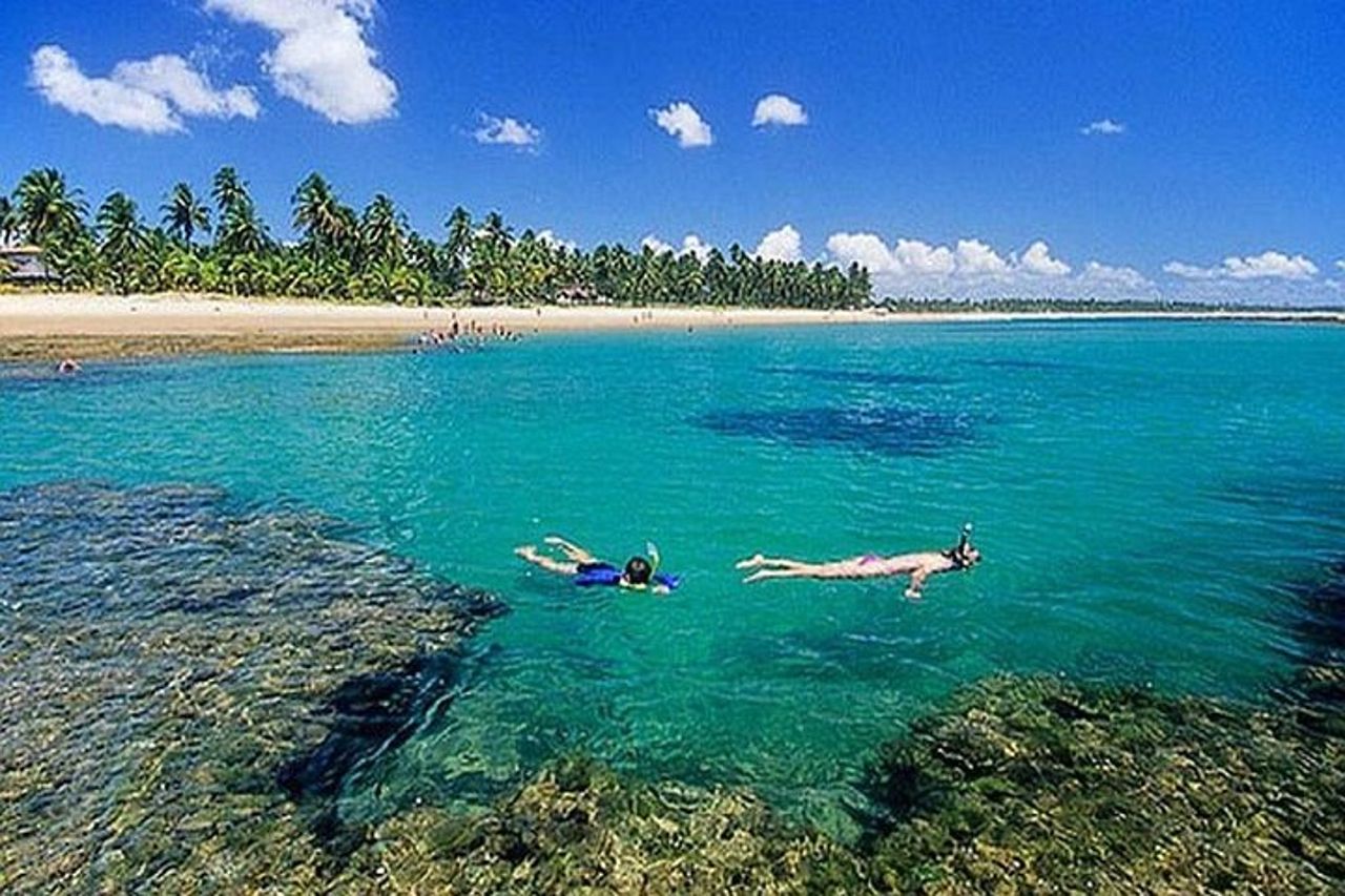 Tour Praia do Forte e Guarajuba, partenza da Salvador-Bahia. — 6