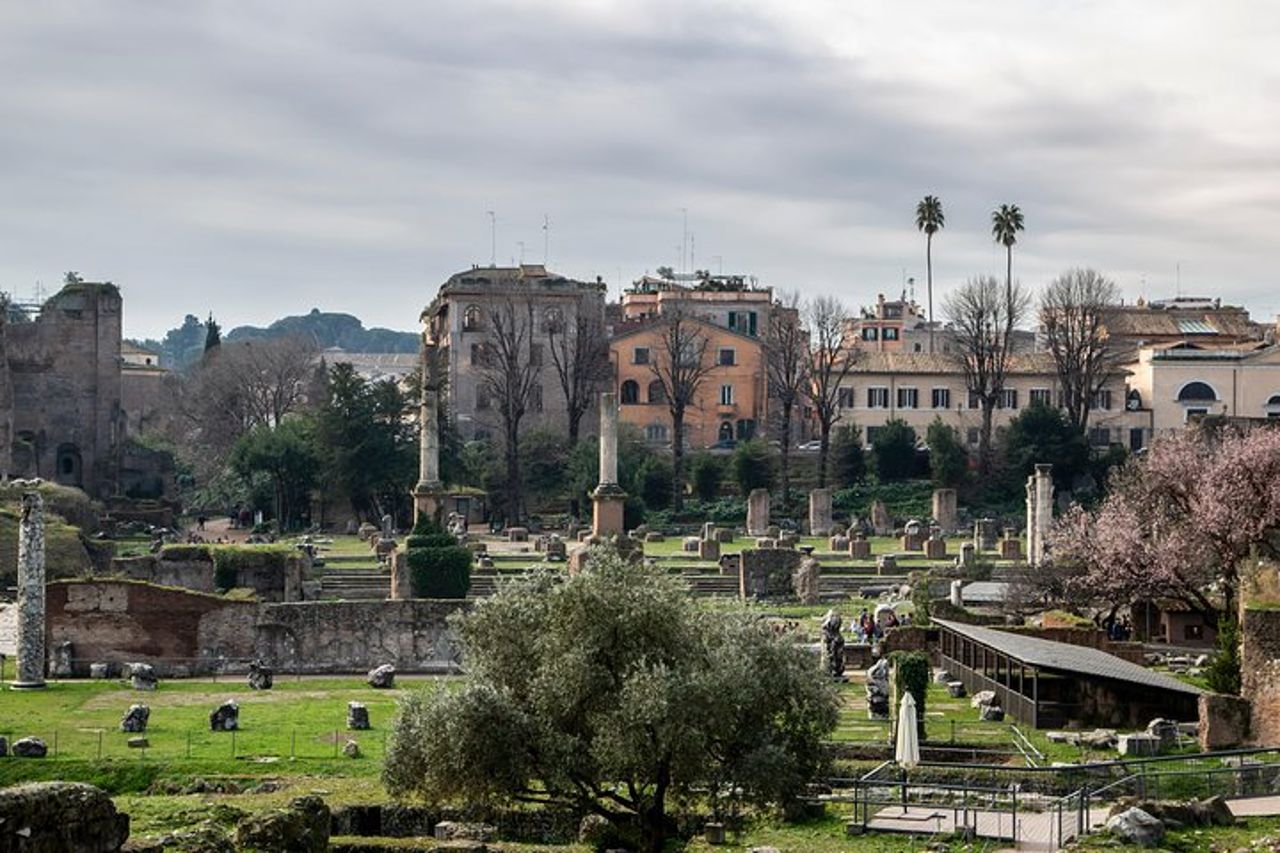 Tour guidato privato del Colosseo, dei Fori Imperiali e dell'Antica Roma — 4