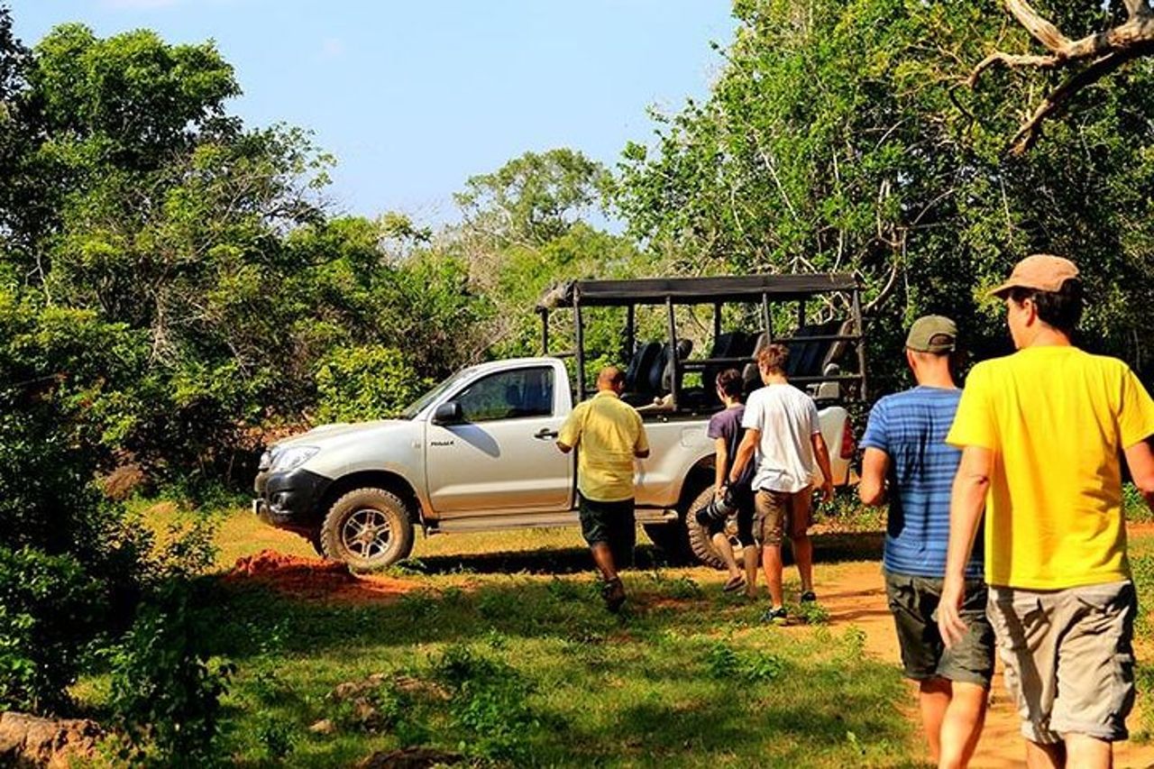 Yala Tour Safari Leopardo di un'intera giornata con pranzo al sacco — 6