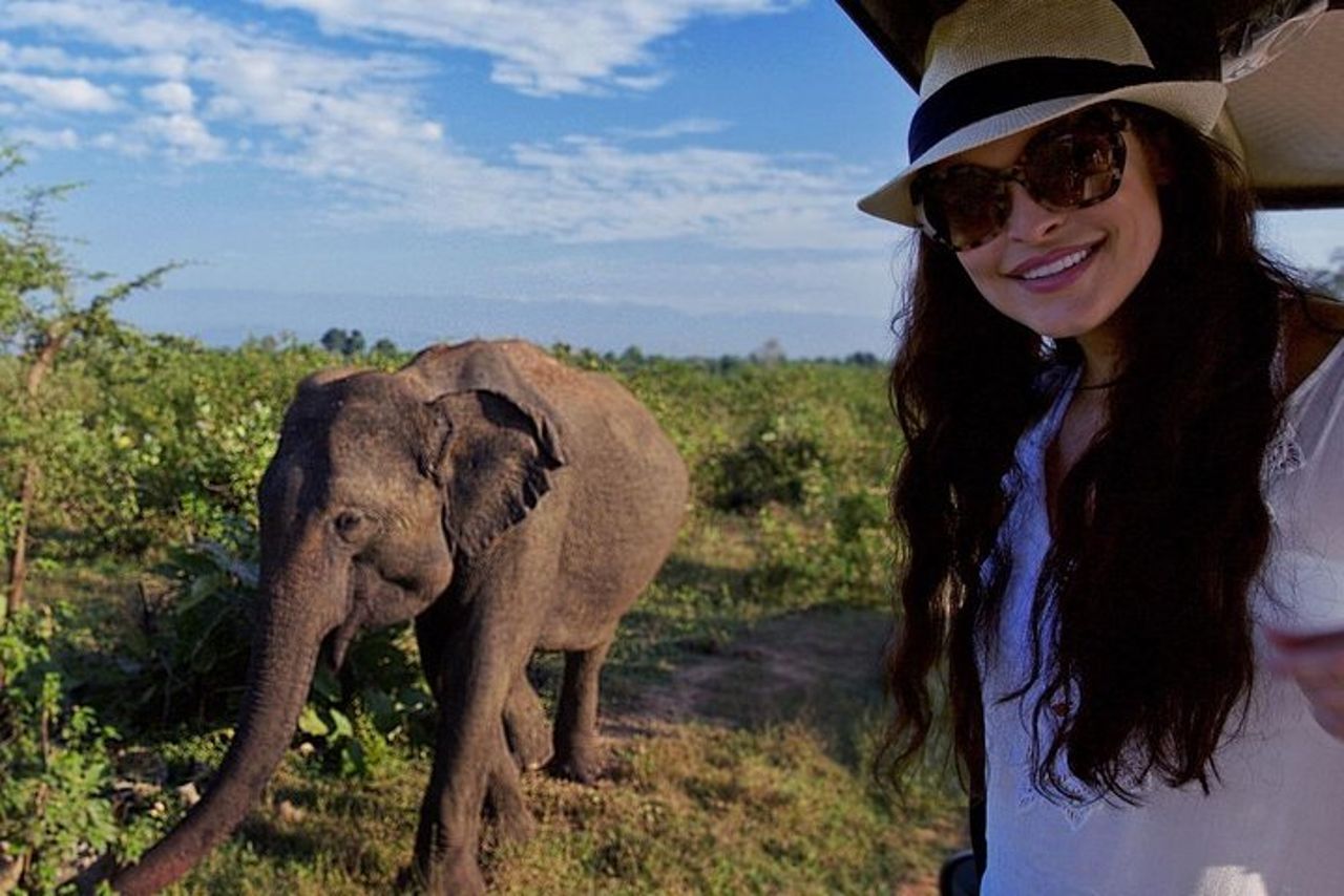 Yala Tour Safari Leopardo di un'intera giornata con pranzo al sacco — 9