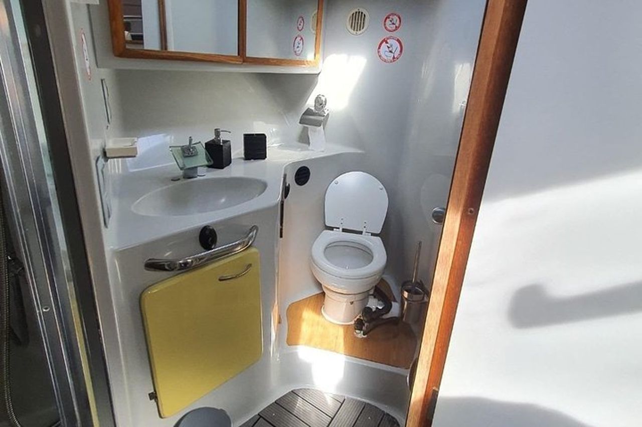 Gita in barca a Fuengirola, osservazione dei delfini e bevande — 9