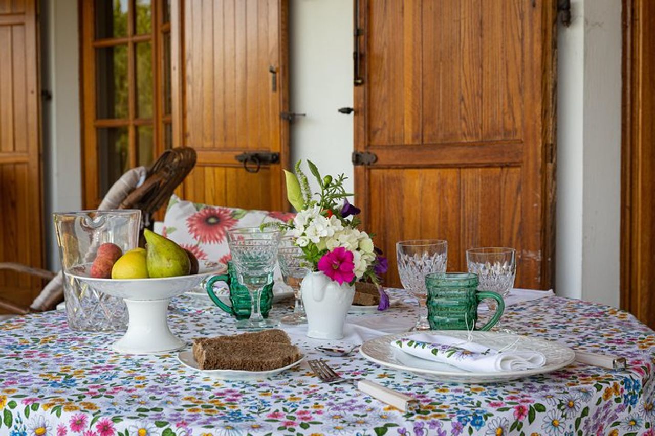 Pranzo o cena e demo di cucina in una casa locale a Chieti — 7