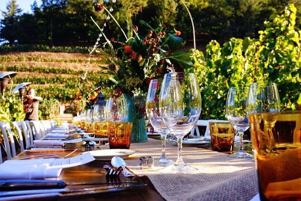 Assapora un menù con degustazione vini, nell'incanto del vigneto Casanova — 2