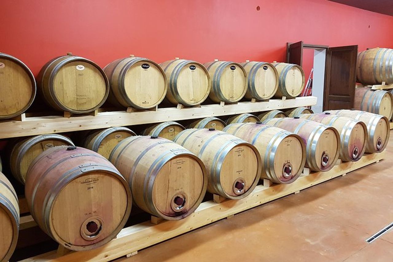 Assapora un menù con degustazione vini, nell'incanto del vigneto Casanova — 4