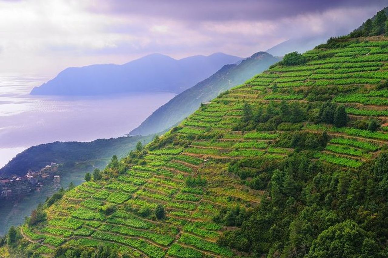 Tour privato EASY Cinque Terre & Pisa accessibile da Livorno — 3