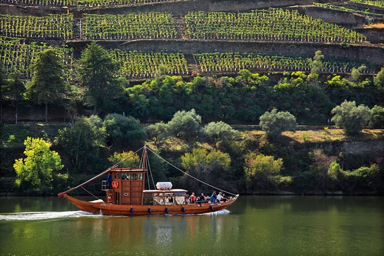 Tour della Valle del Douro: degustazione di vini, crociera e pranzo da Porto — 6
