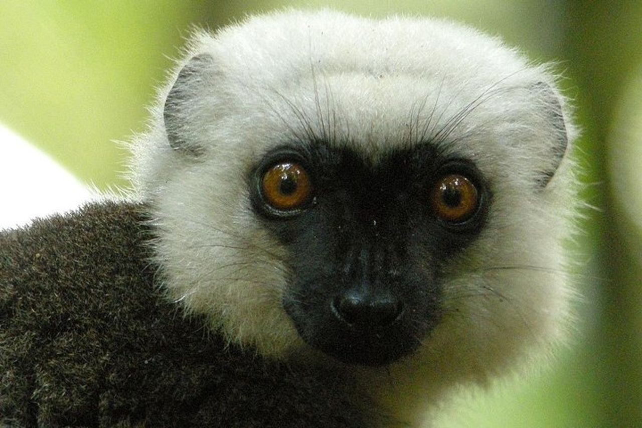 Avventura di 4 giorni nel Parco Nazionale Masoala da Antananarivo