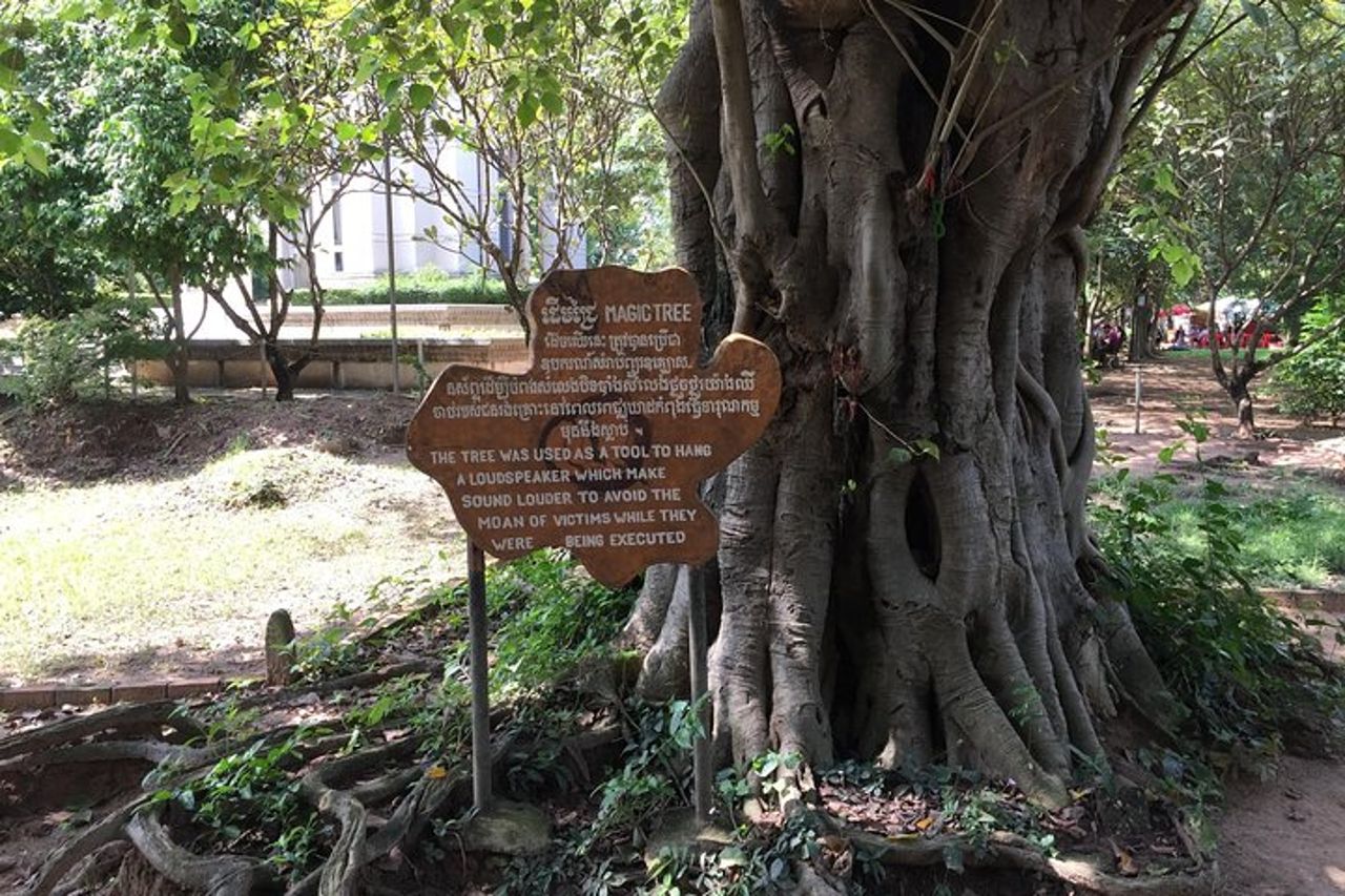 Mezza giornata privata al campo di sterminio e al museo genocida S21 di Phnom Penh — 8