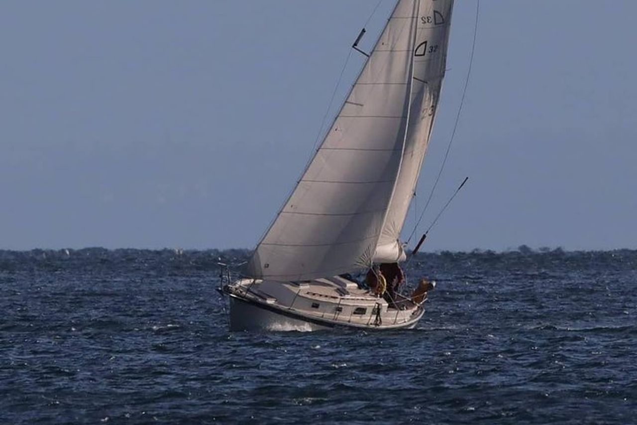 Avventura in barca a vela di 4 ore sullo stretto di Juan de Fuca — 3