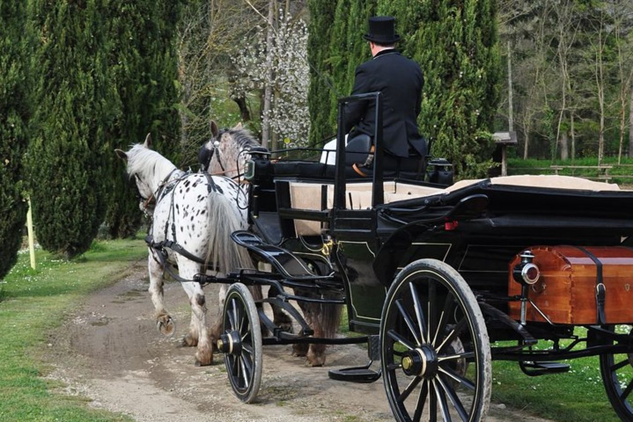 Giro in carrozza e pranzo in un ristorante tipico nel cuore del Chianti — 8