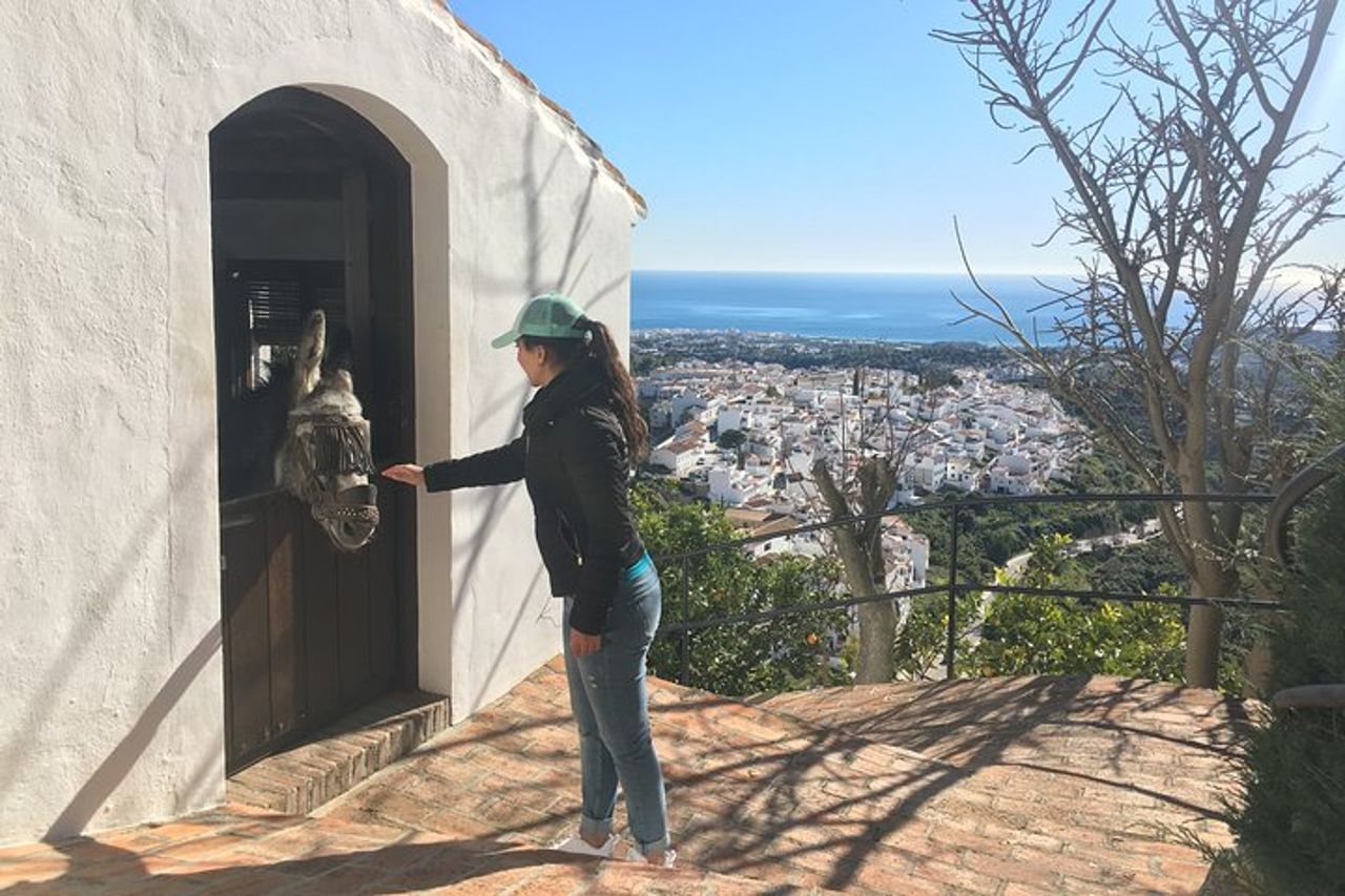 Escursione di Frigiliana per piccoli gruppi e tour di degustazione di vini da Malaga — 8