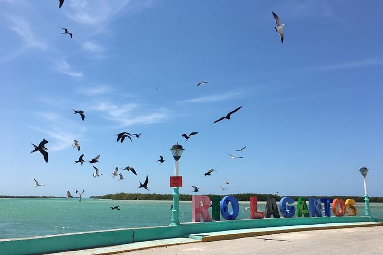 Tour paradisiaco: Las Coloradas Pink Lake e Rio Lagartos con pranzo incluso. — 9