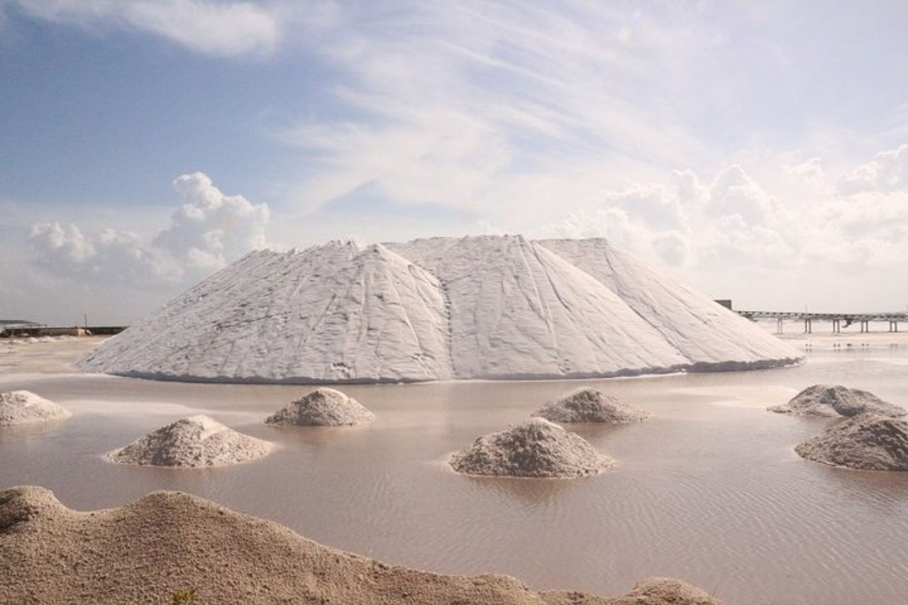 Tour paradisiaco: Las Coloradas Pink Lake e Rio Lagartos con pranzo incluso. — 6