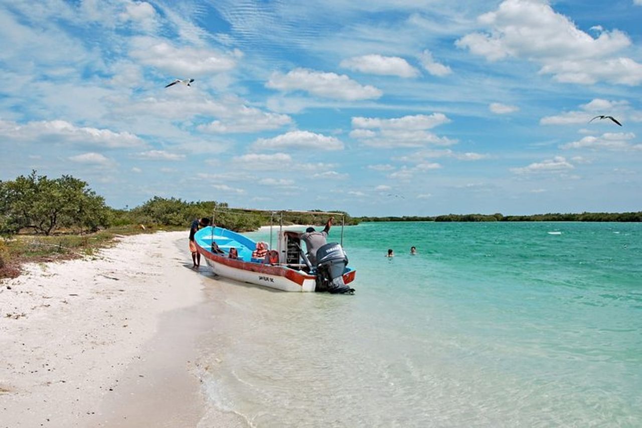 Tour paradisiaco: Las Coloradas Pink Lake e Rio Lagartos con pranzo incluso. — 8