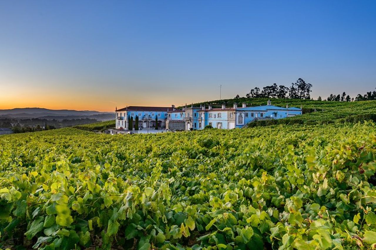 Visita guidata di Bodegas Granbazán — 2