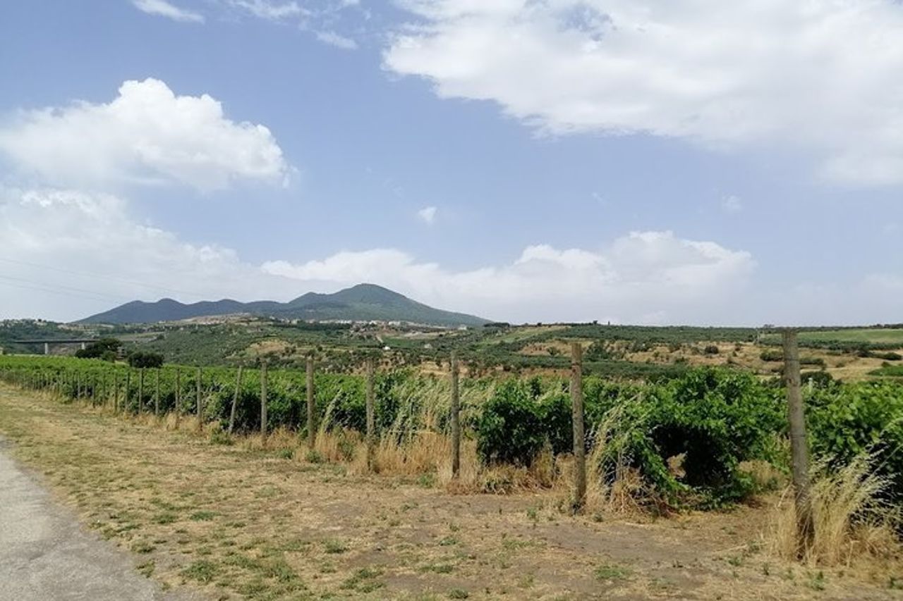 Venosa, antica colonia romana e città del vino Aglianico — 3