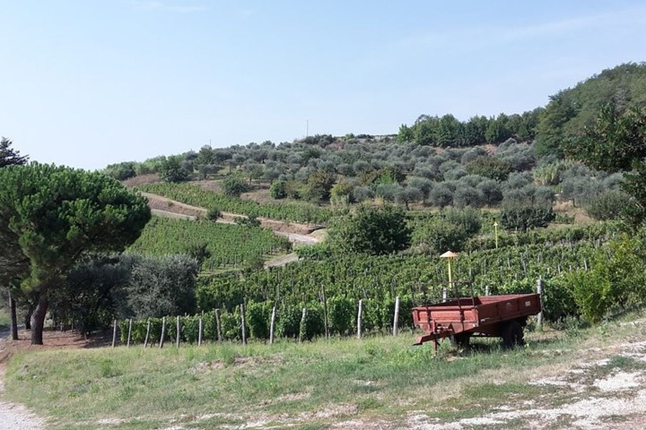 Venosa, antica colonia romana e città del vino Aglianico — 7
