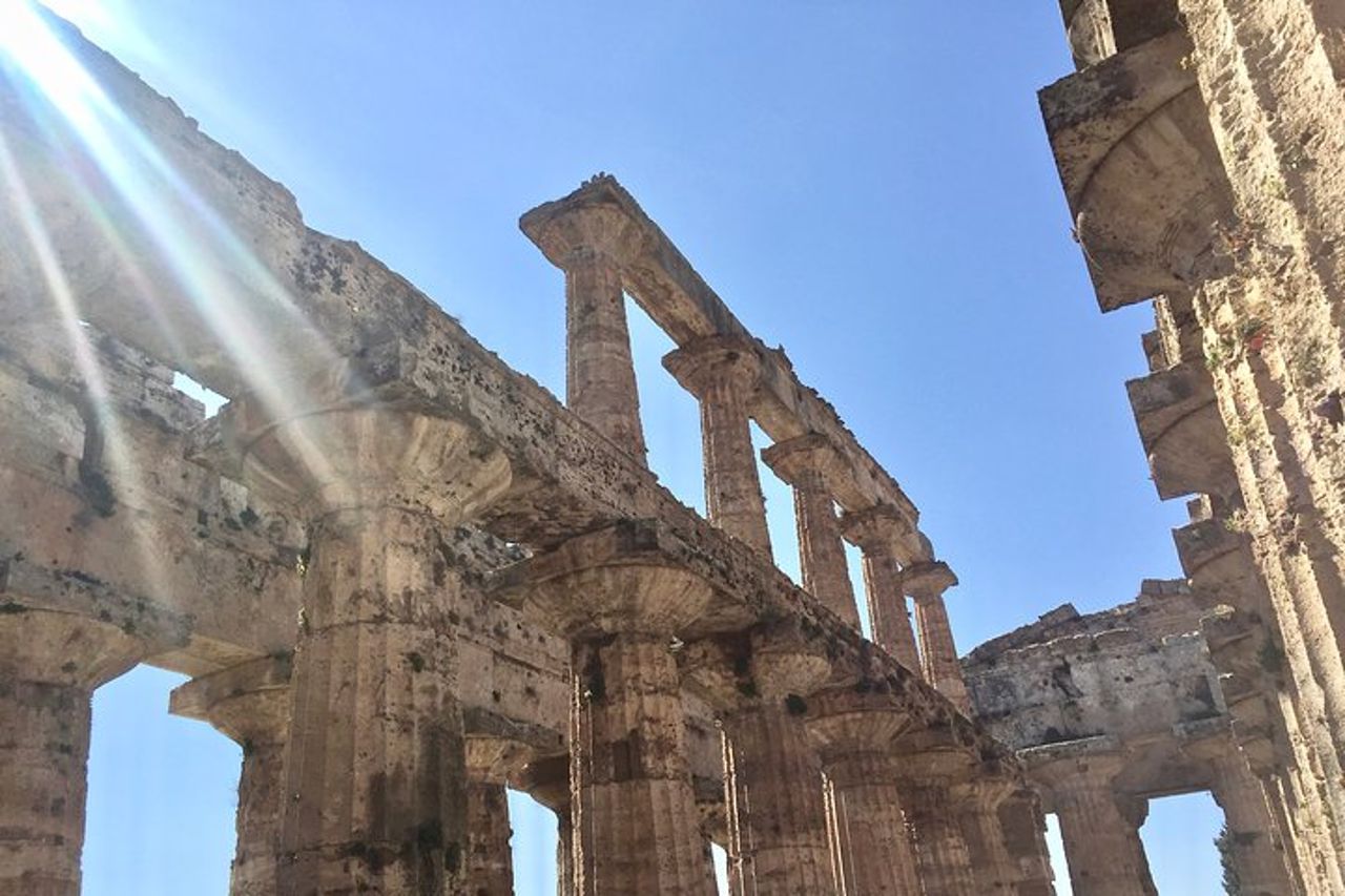 Visita guidata degli scavi di Paestum — 2