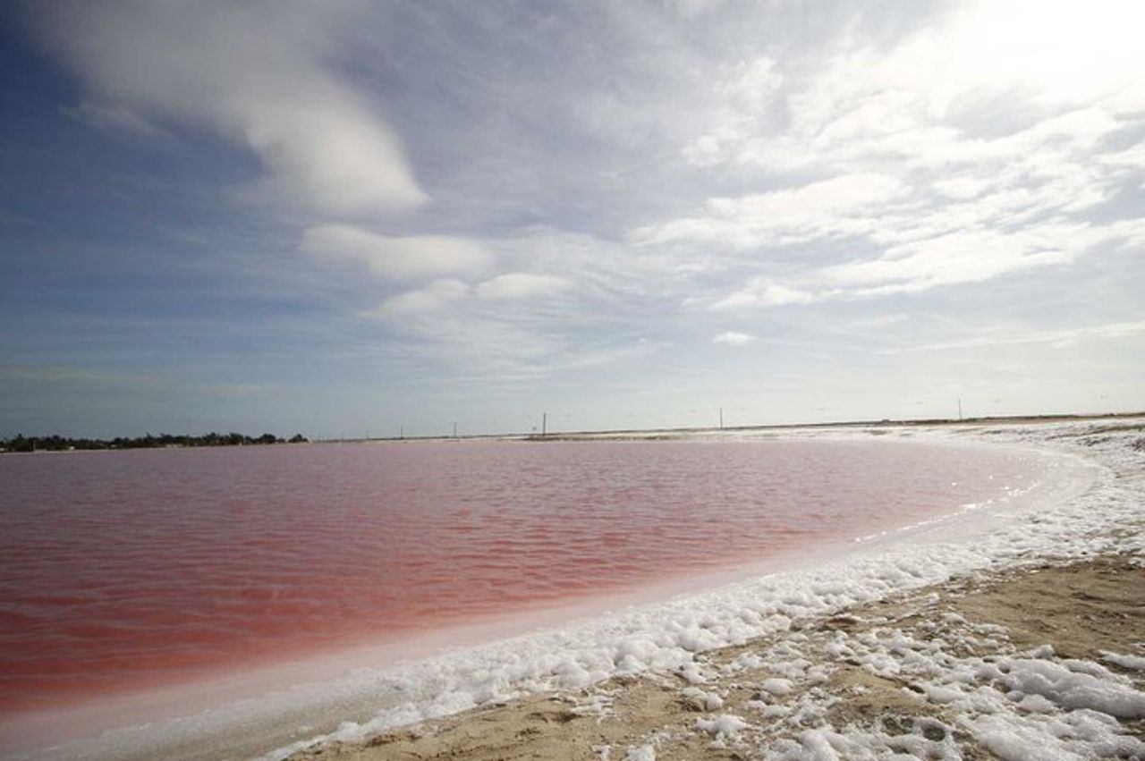 Tour paradisiaco: Las Coloradas Pink Lake e Rio Lagartos con pranzo incluso. — 5