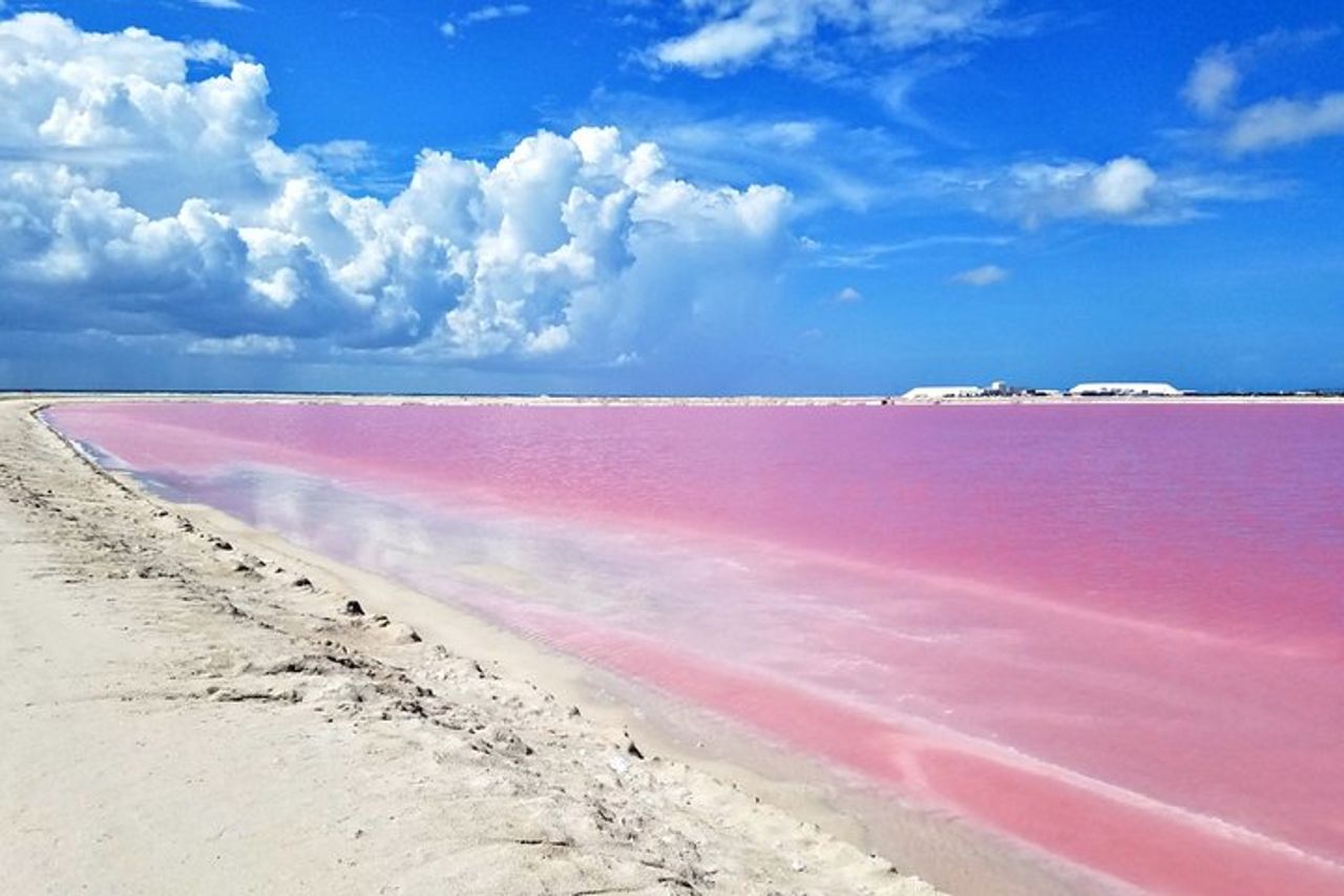 Tour paradisiaco: Las Coloradas Pink Lake e Rio Lagartos con pranzo incluso. — 4