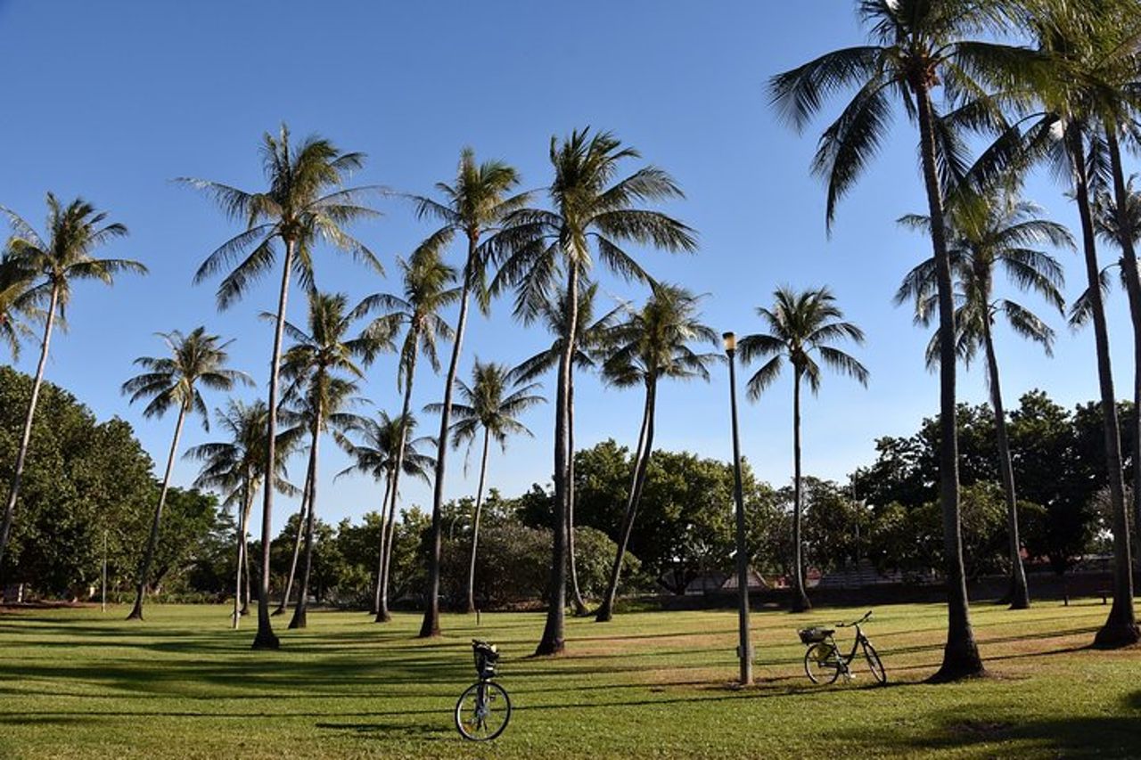 Tour degli autobus hop-on hop-off di Darwin — 9