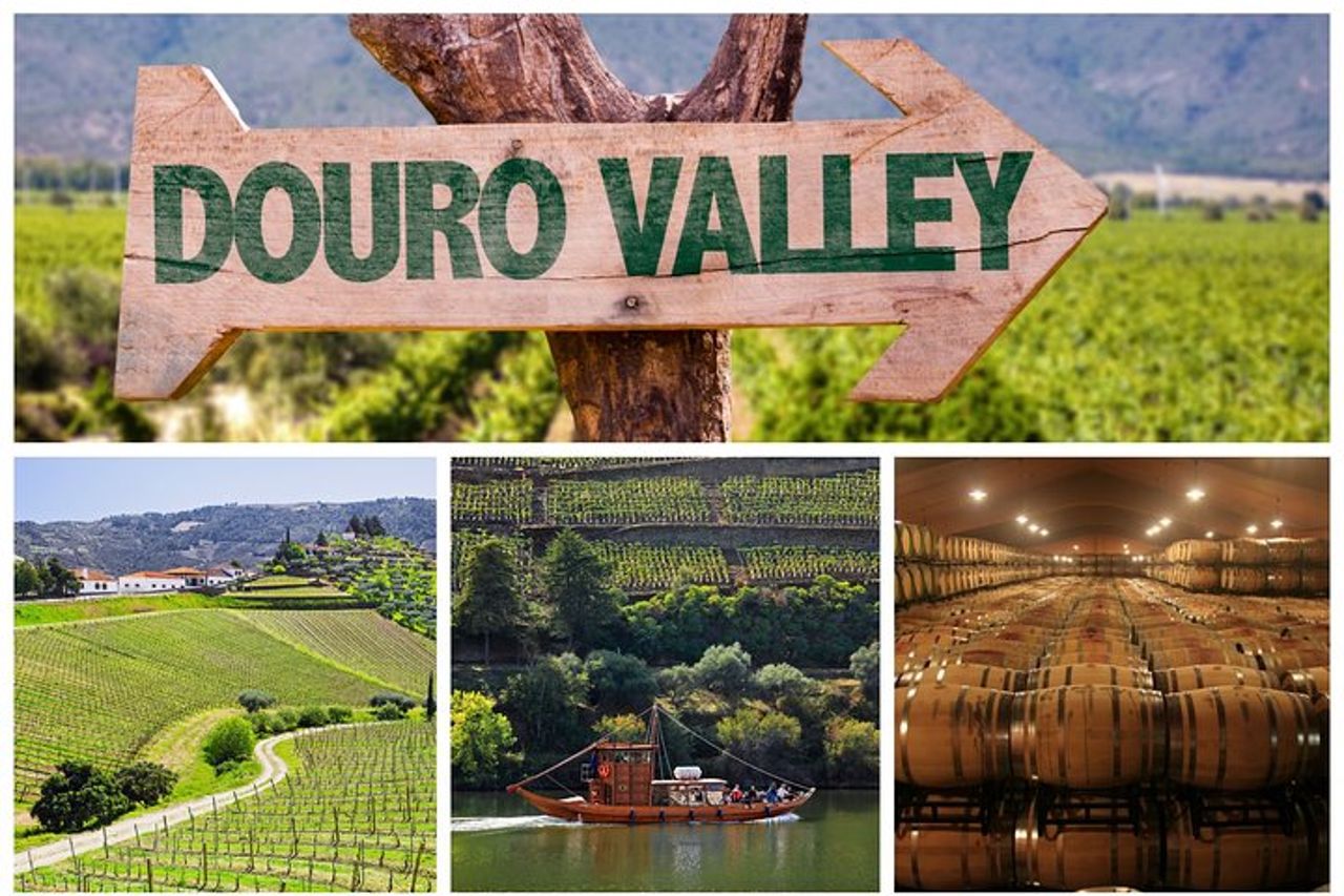 Tour della Valle del Douro: degustazione di vini, crociera e pranzo da Porto — 2
