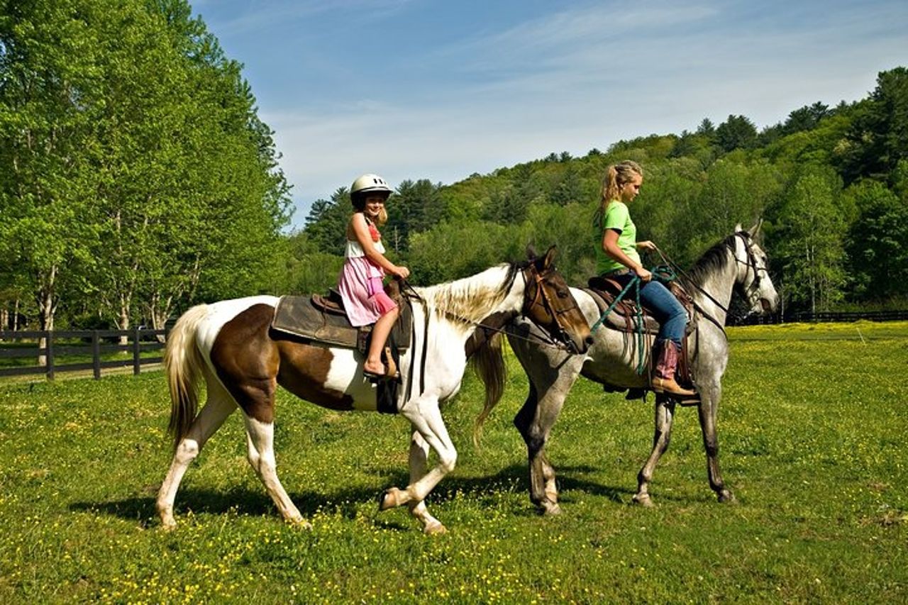 Tour privato con baldacchino zipline e passeggiate a cavallo da San Jose — 3