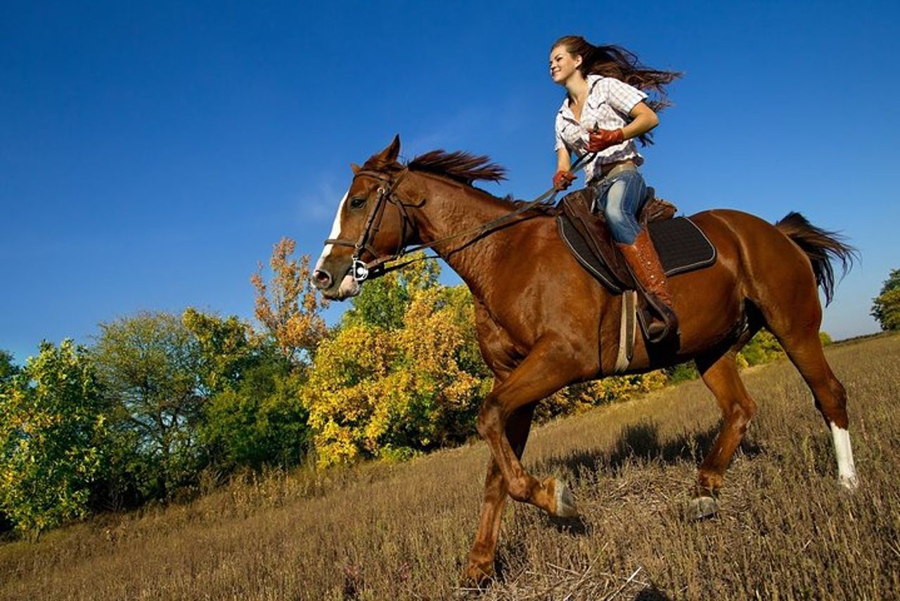 Tour privato con baldacchino zipline e passeggiate a cavallo da San Jose — 5