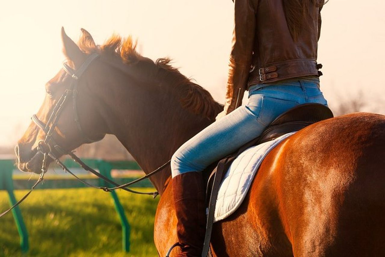 Tour privato con baldacchino zipline e passeggiate a cavallo da San Jose — 8