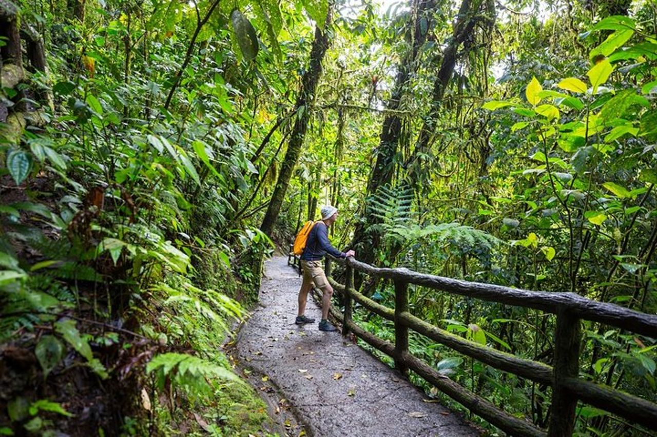 Tour privato del tram aereo della foresta pluviale da San Jose — 2