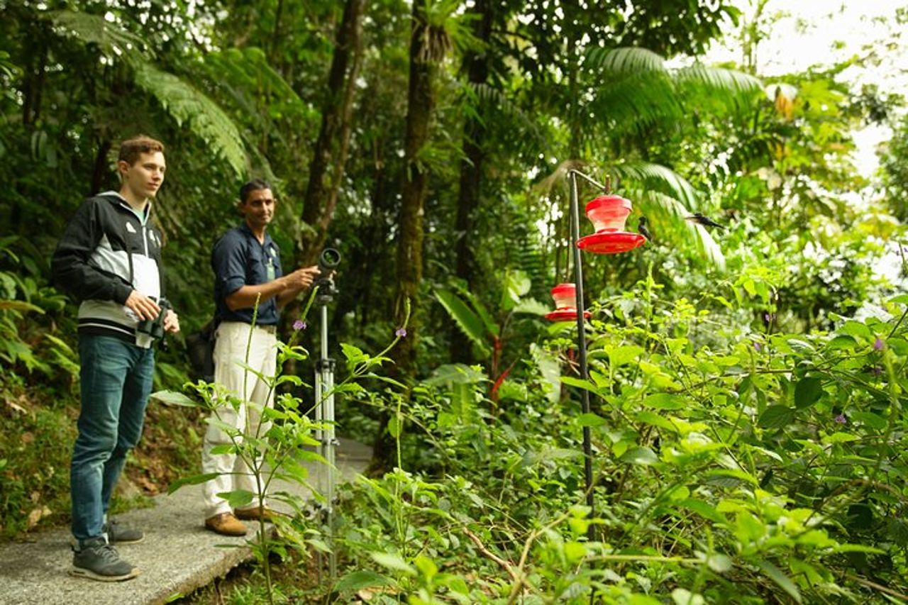Tour privato del tram aereo della foresta pluviale da San Jose — 7
