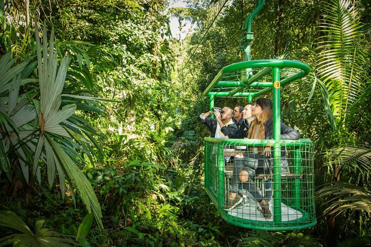 Tour privato del tram aereo della foresta pluviale da San Jose