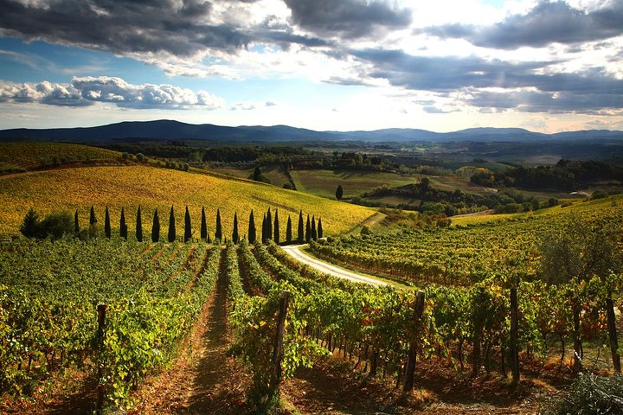 Escursione in Toscana da Siena con degustazione di vini — 4