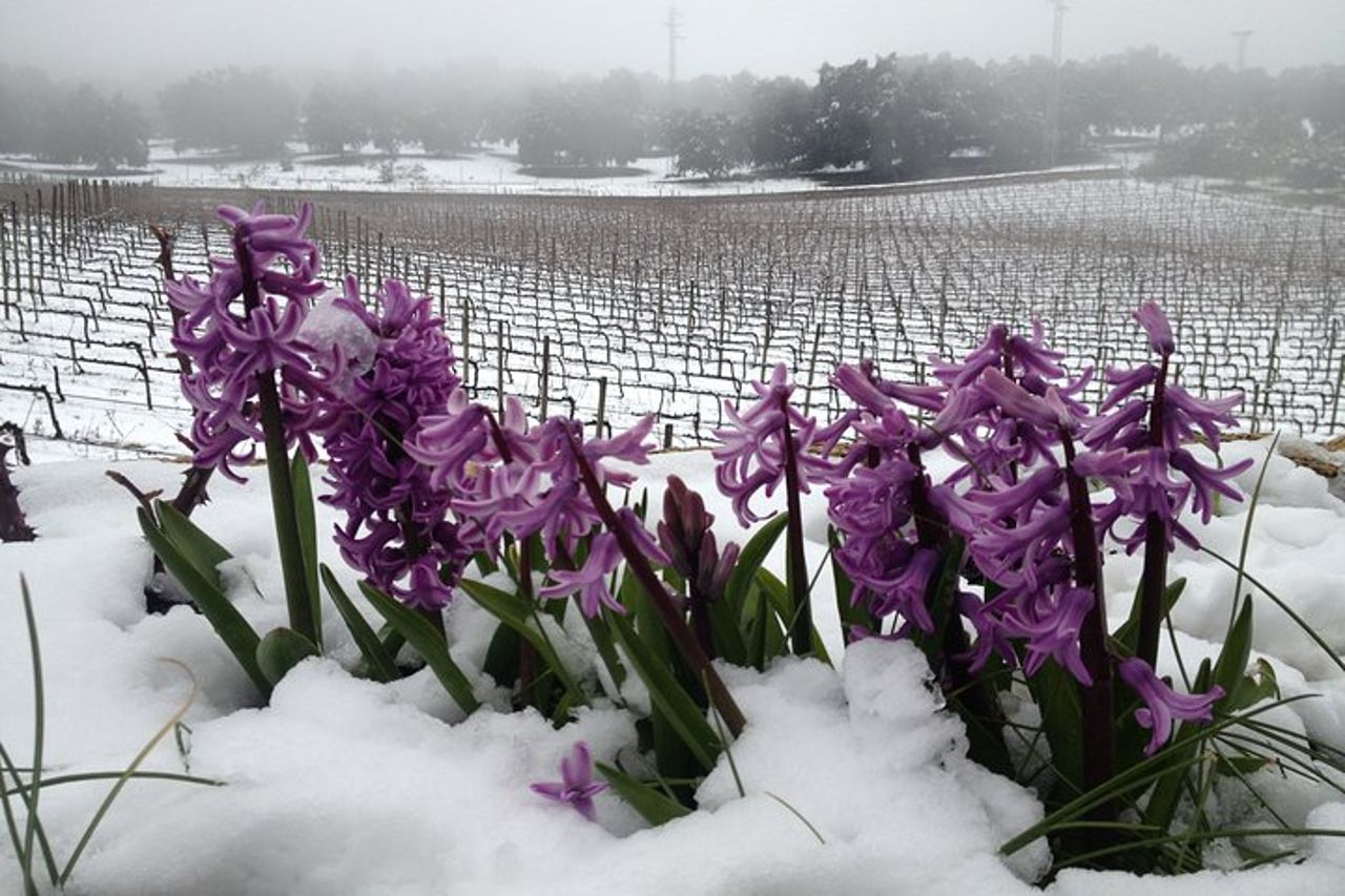 Visita guidata con degustazione — 5