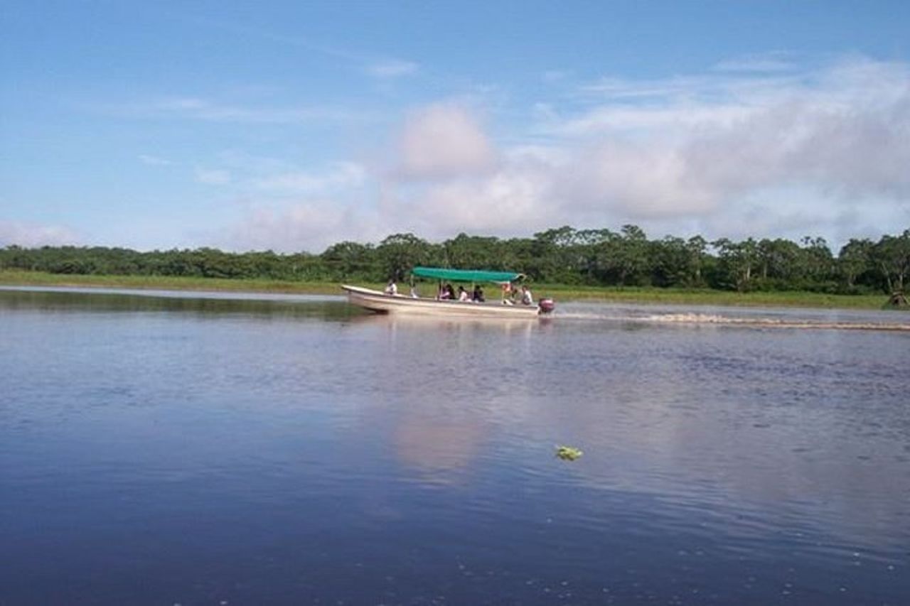 Pesca Piranha nella giungla amazzonica — 5