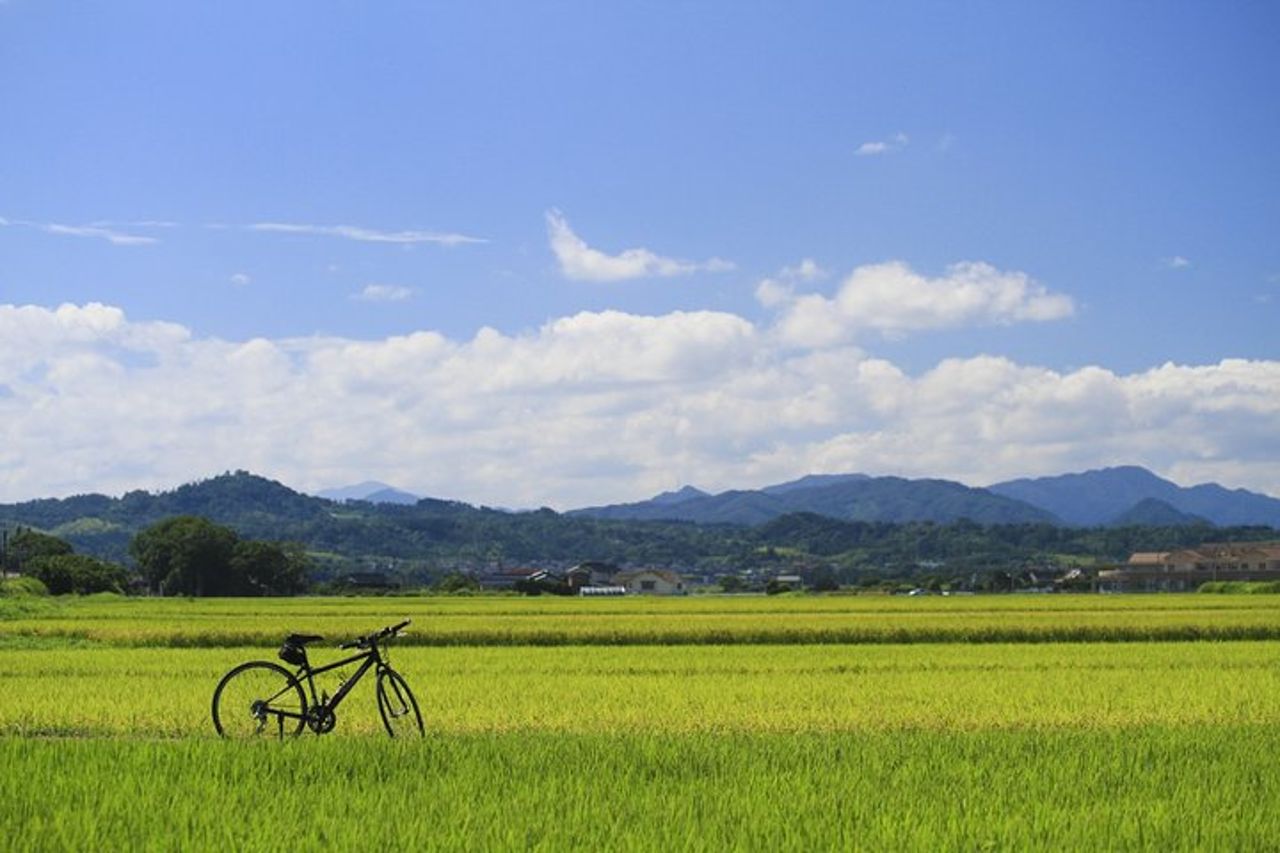 Camminare e andare in bicicletta — 2