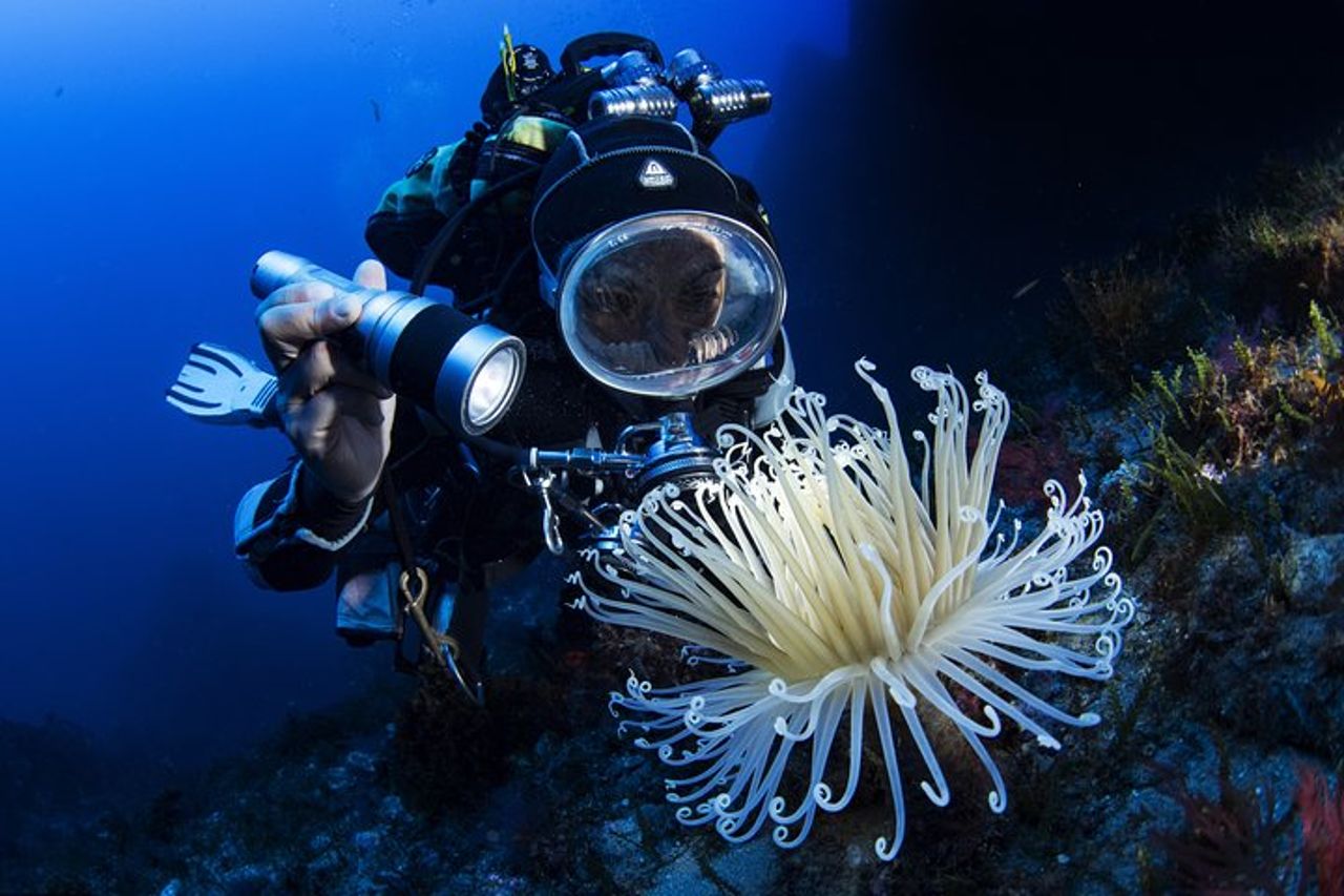 Immersioni subacquee in Calabria — 8