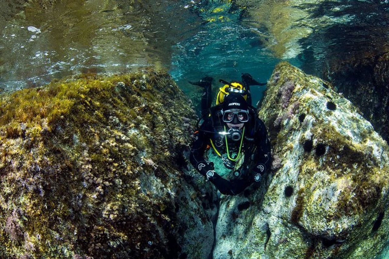 Immersioni subacquee in Calabria — 9
