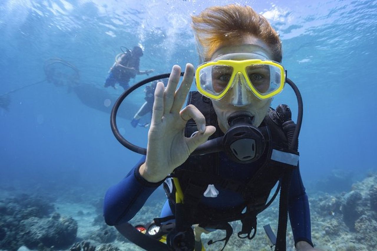 Mallorca : Scopri le immersioni subacquee dalla spiaggia — 3